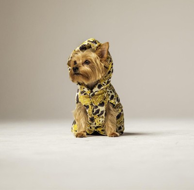 MOSCHINO(tv)H&M-כל מה שרציתם לדעת על הקולקציה שתנחת בארץ ב-8 לנובמבר. 2669 - MOSCHINO(tv)H&M-כל מה שרציתם לדעת על הקולקציה שתנחת בארץ ב-8 לנובמבר.