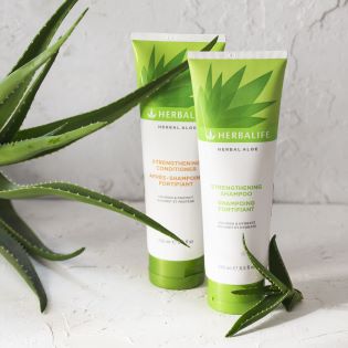 התחדשות אביבית: הטרנדים החמים במוצרי טיפוח, בשמים ואיפור לחודש מרץ 2025. ALFA 201 - התחדשות אביבית: הטרנדים החמים במוצרי טיפוח, בשמים ואיפור לחודש מרץ 2025.